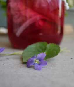 Ancient Roman Violatium