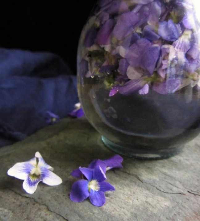 Ancient Roman Violatium